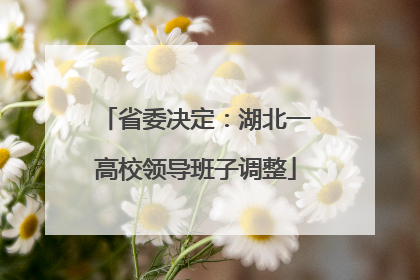 省委决定：湖北一高校领导班子调整
