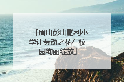眉山彭山鹏利小学让劳动之花在校园绚丽绽放