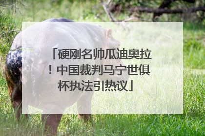 硬刚名帅瓜迪奥拉！中国裁判马宁世俱杯执法引热议