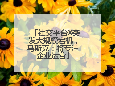 社交平台X突发大规模宕机，马斯克：将专注企业运营