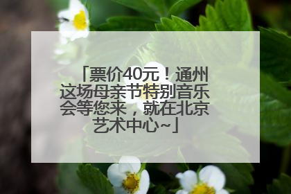 票价40元!通州这场母亲节特别音乐会等您来,就在北京艺术中心~
