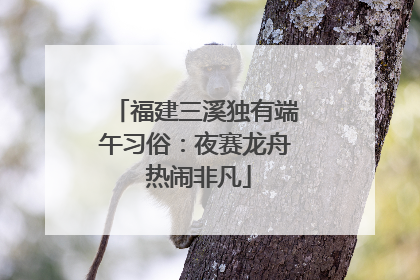 福建三溪独有端午习俗：夜赛龙舟 热闹非凡