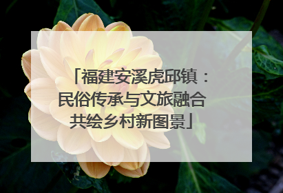 福建安溪虎邱镇：民俗传承与文旅融合共绘乡村新图景