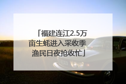 福建连江2.5万亩生蚝进入采收季 渔民日夜抢收忙