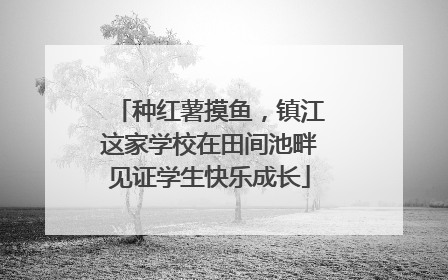 种红薯摸鱼，镇江这家学校在田间池畔见证学生快乐成长