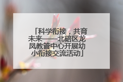 科学衔接，共育未来——北碚区龙凤教管中心开展幼小衔接交流活动