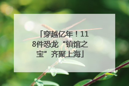 穿越亿年！118件恐龙“镇馆之宝”齐聚上海