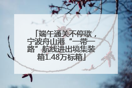 端午通关不停歇，宁波舟山港“一带一路”航线进出境集装箱1.48万标箱