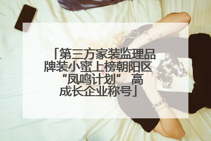 第三方家装监理品牌装小蜜上榜朝阳区 “凤鸣计划” 高成长企业称号