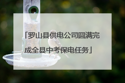 罗山县供电公司圆满完成全县中考保电任务