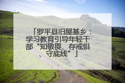罗平县旧屋基乡：学习教育引导年轻干部“知敬畏、存戒惧、守底线”