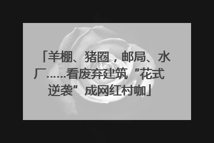 羊棚、猪圈，邮局、水厂……看废弃建筑“花式逆袭”成网红村咖