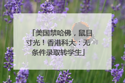 美国禁哈佛，鼠目寸光！香港科大：无条件录取转学生