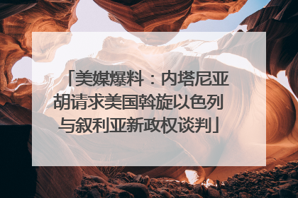 美媒爆料：内塔尼亚胡请求美国斡旋以色列与叙利亚新政权谈判