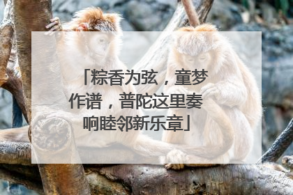粽香为弦，童梦作谱，普陀这里奏响睦邻新乐章