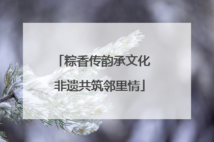 粽香传韵承文化 非遗共筑邻里情