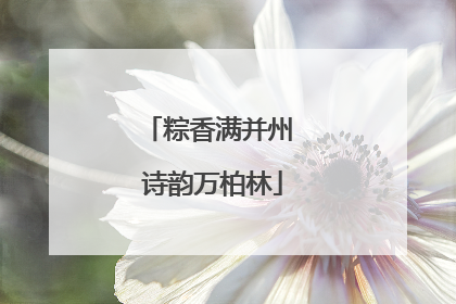 粽香满并州 诗韵万柏林