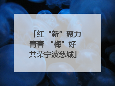 红“新”聚力青春 “梅”好共荣宁波慈城