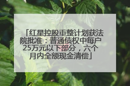 红星控股重整计划获法院批准：普通债权中每户25万元以下部分，六个月内全额现金清偿