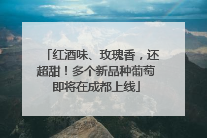 红酒味、玫瑰香，还超甜！多个新品种葡萄即将在成都上线