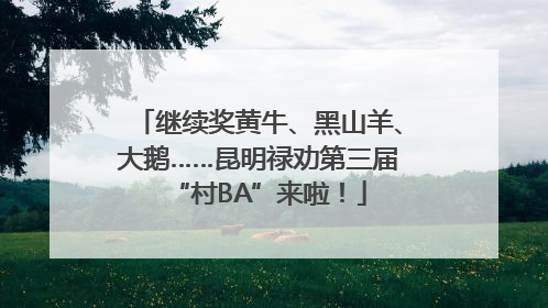 继续奖黄牛、黑山羊、大鹅……昆明禄劝第三届“村BA”来啦！