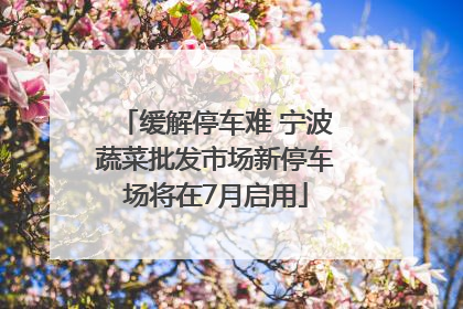 缓解停车难 宁波蔬菜批发市场新停车场将在7月启用