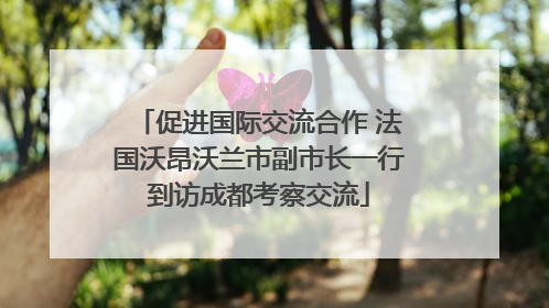 促进国际交流合作 法国沃昂沃兰市副市长一行到访成都考察交流