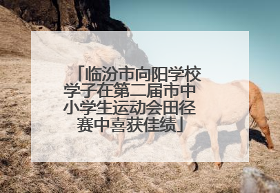 临汾市向阳学校学子在第二届市中小学生运动会田径赛中喜获佳绩