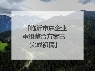 临沂市属企业重组整合方案已完成初稿