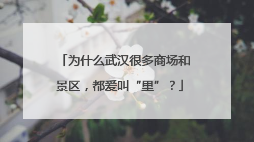 为什么武汉很多商场和景区，都爱叫“里”？