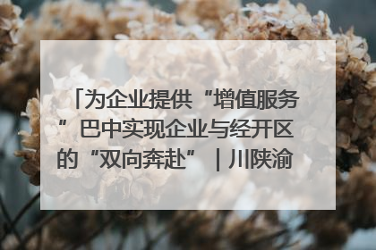 为企业提供“增值服务”巴中实现企业与经开区的“双向奔赴”｜川陕渝网络名人巴中行