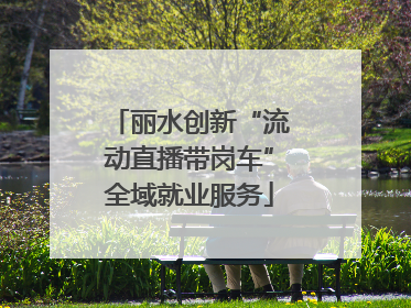 丽水创新“流动直播带岗车”全域就业服务
