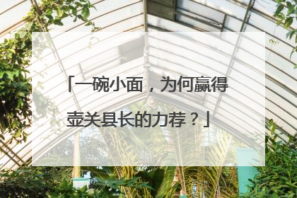 一碗小面，为何赢得壶关县长的力荐？
