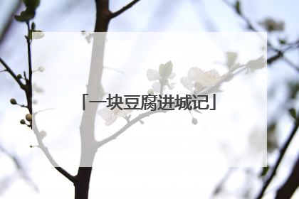 一块豆腐进城记