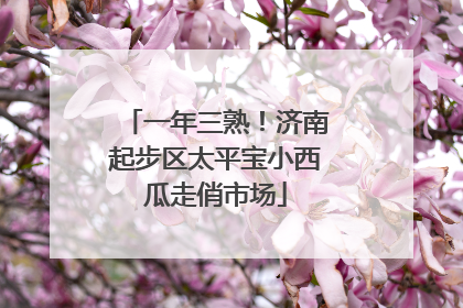 一年三熟！济南起步区太平宝小西瓜走俏市场