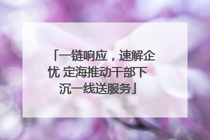 一链响应，速解企忧 定海推动干部下沉一线送服务