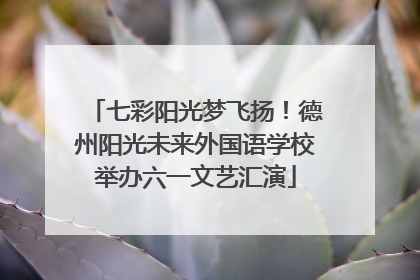七彩阳光梦飞扬！德州阳光未来外国语学校举办六一文艺汇演