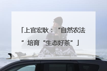 上官宏耿：“自然农法”培育“生态好茶”