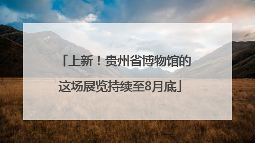 上新！贵州省博物馆的这场展览持续至8月底