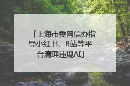 上海市委网信办指导小红书、B站等平台清理违规AI