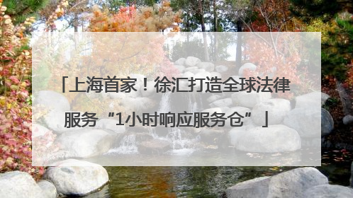 上海首家！徐汇打造全球法律服务“1小时响应服务仓”