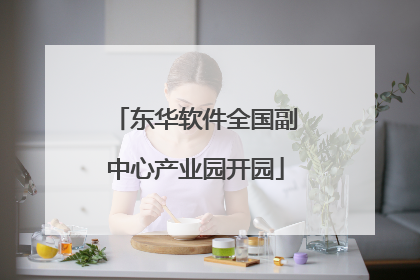 东华软件全国副中心产业园开园