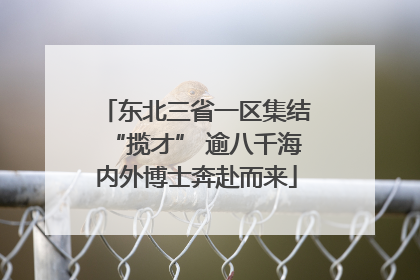 东北三省一区集结“揽才” 逾八千海内外博士奔赴而来