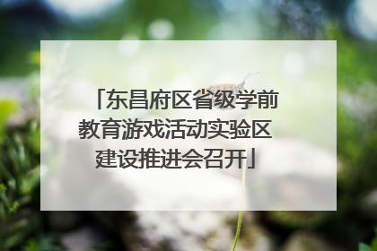 东昌府区省级学前教育游戏活动实验区建设推进会召开