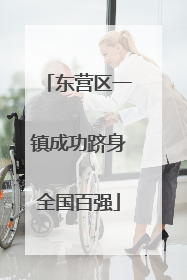 东营区一镇成功跻身全国百强