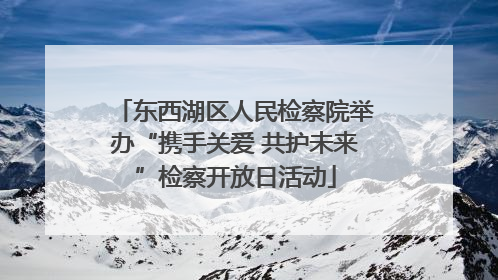 东西湖区人民检察院举办“携手关爱 共护未来”检察开放日活动