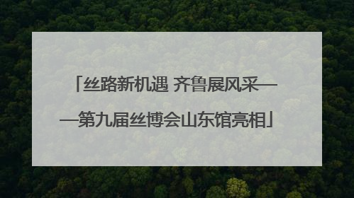 丝路新机遇 齐鲁展风采——第九届丝博会山东馆亮相