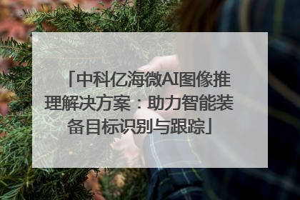中科亿海微AI图像推理解决方案：助力智能装备目标识别与跟踪