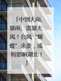 中到大雨、暴雨、雷暴大风！台风“蝴蝶”来袭，或将影响湖北！