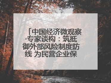 中国经济微观察·专家谈构：筑抵御外部风险制度防线 为民营企业保驾护航